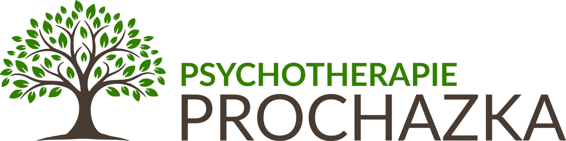 Psychotherapie Prochazka